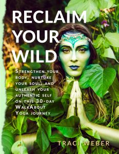 Reclaim Your Wild Book Cover Design